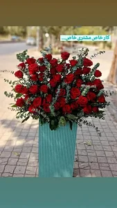 شیراز گل