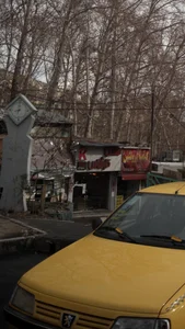 مسکن کارشناس