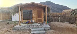 Fun Beach Camp