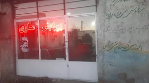 پیرایش ماوی