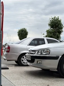 دیتیلینگ سیلور شاین