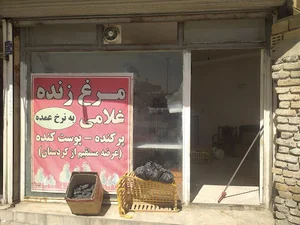 مرغ فروشی غلامی