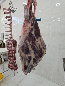 مسترگوشت 2