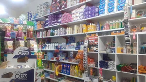 نیسان بار صالح