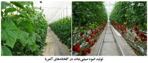 مجتمع گلخانه‌ای یزدانی