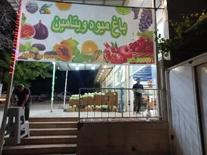 میوه فروشی ویتامینWAVE CLUB