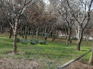 بوستان بانوان بهشتی