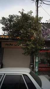 منسوجات محمد 4