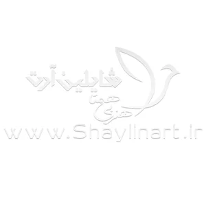 شایلین آرت