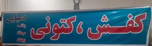 کفش کتونی برادران کرمی 2