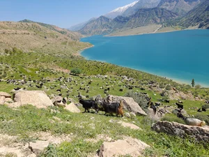 دره غریب زندیها