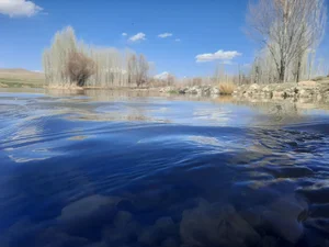 مسجد علی ابن ابی طالب (ع)