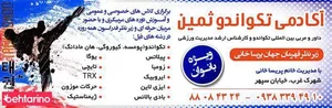 آکادمی تکواندو ثمین 3