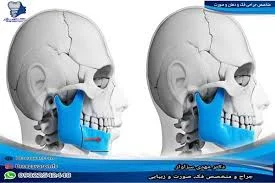 دکتر سیدمحسن خراسانی اصل