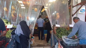 میوه سرای بابلکنار