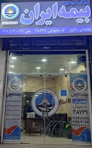 Iran insurance. Delaviz branch