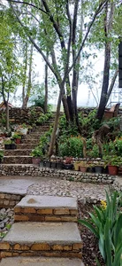 باغ رستوران ارم