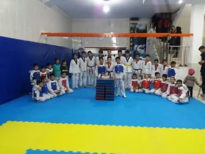 باشگاه ورزشی آرین