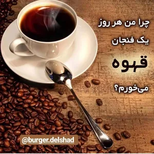 برگر دلشاد 5