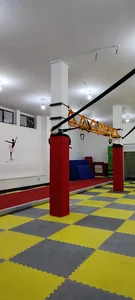 باشگاه ورزشی ژیمناستیک رسپینا