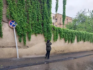 شهرداری مرکزی گرگان
