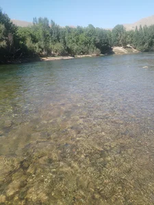 چادگان بارده