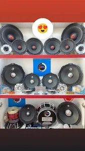 علی ضبطی