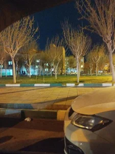 پارک طاووس