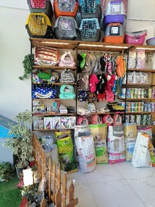 surin pet clinic