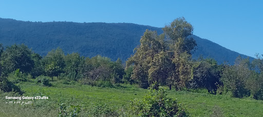 مجموعه امیر پور