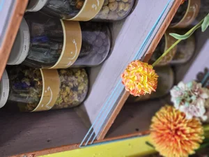 گیاهان دارویی علیزاده 5