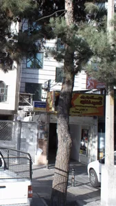 باشگاه بانوان شهید غفاری 2