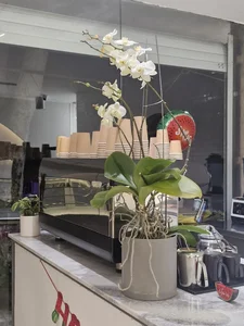 کافه بیکری حیات 2
