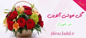 گل فروشی اینترنتی در شیراز : گل فروشی شیراز
