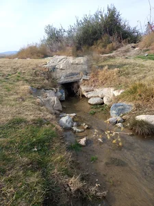 Jamal abad