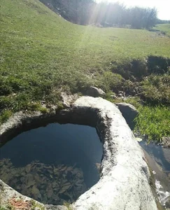 آب معدنی طبیعی کله سر(عیسی بلاغی)