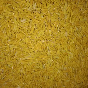 برنج چمپا میداوود و رامهرمزبامدیرت بوکان