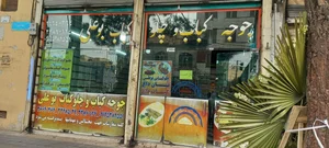 چلوکباب و  جوجه کباب بوعلی 2