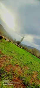 اداره فضای سبز شهرداری خوی