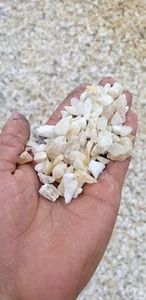 کارخانه سنگ شکن پارس