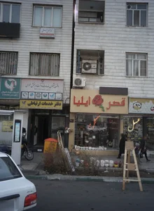 گل فروشی قصر ایلیا 2