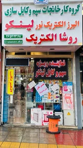 روشاالکتریک
