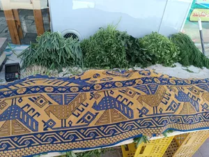 سبزی فروشی شقاقی 4
