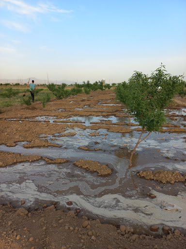 باغ ویلای کیان