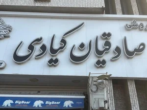 شرکت سایا پخش نگین گنجینه آریا 3