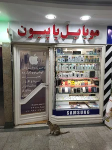 موبایل پاپیون