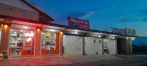 برق خودرو رضا