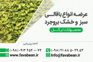 باقالی سبز