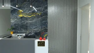 zhiwan clinic 2