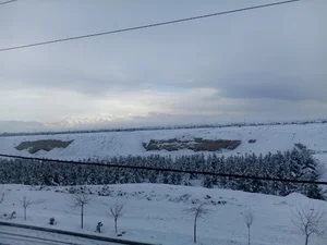 پارک جنگلی (نبوت) فاز اول